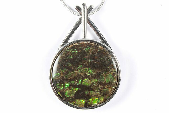 Brilliant Ammolite Pendant (Necklace) - Alberta, Canada #352197